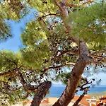 17 Pines